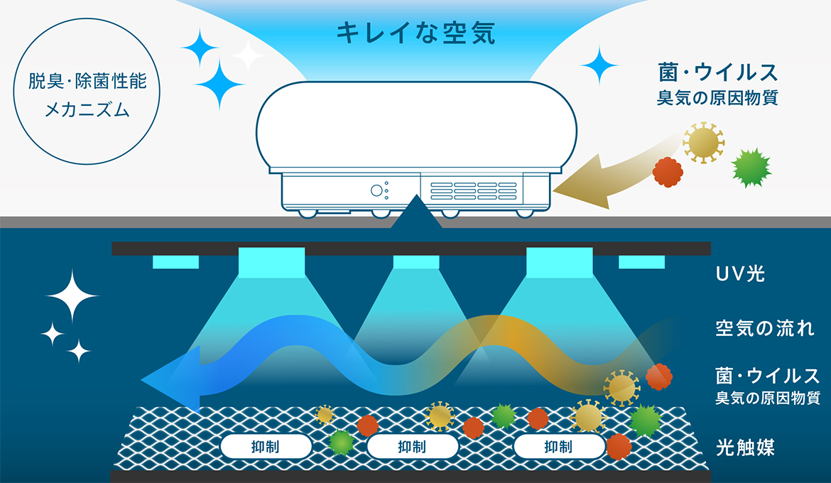 菌・ウイルスを抑制※3