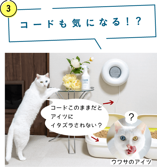 コードも気になる！？