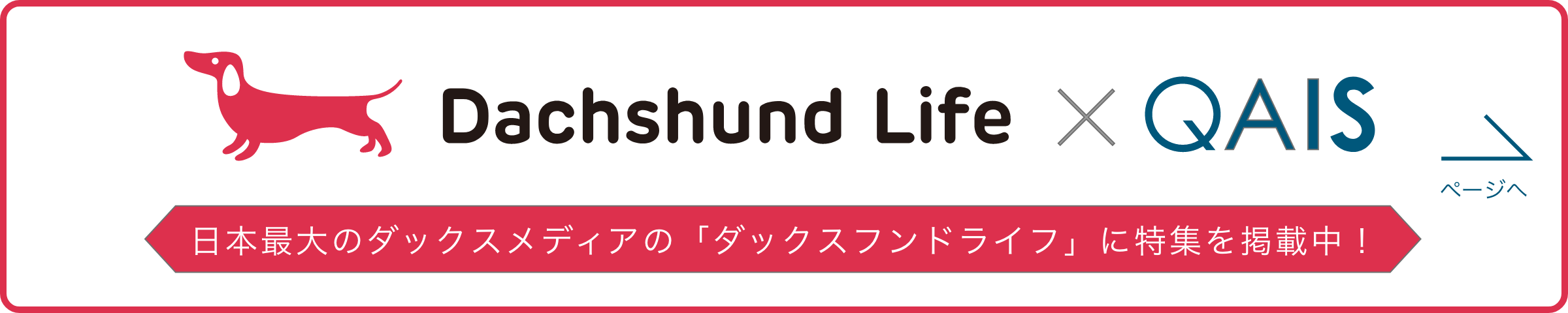 日本最大のダックスメディアの「ダックスフンドライフ」に特集を掲載中！