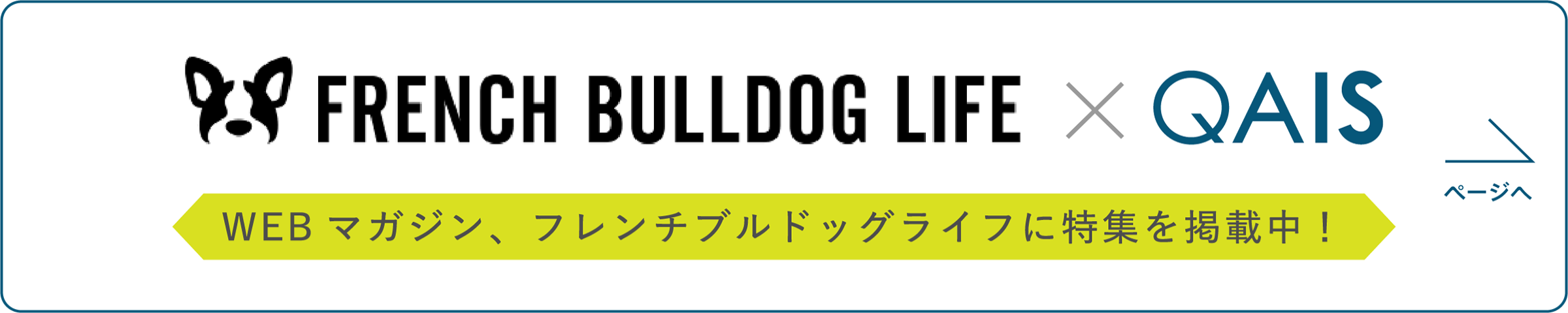 WEBマガジン、フレンチブルドッグライフに特集を掲載中！