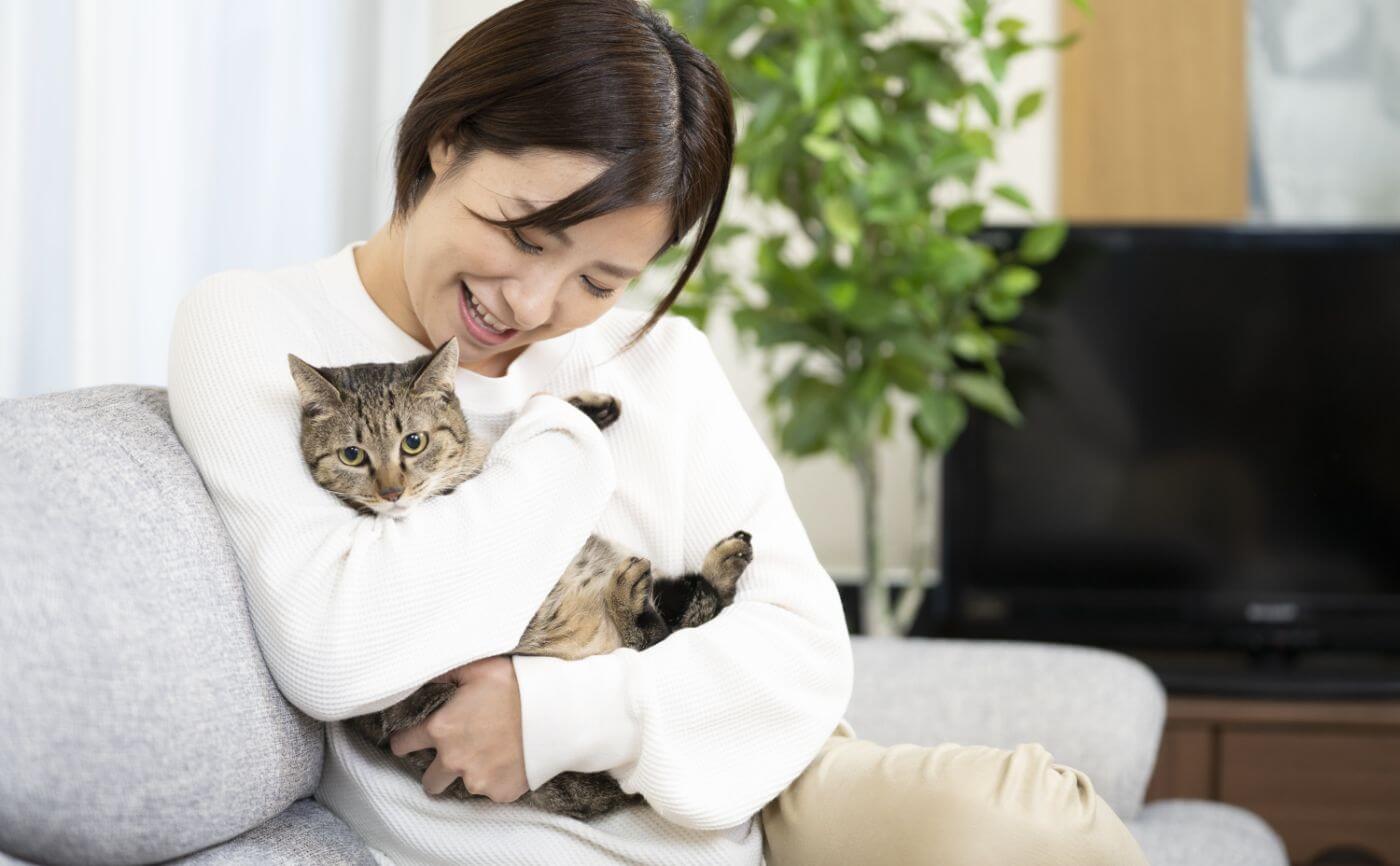 猫を飼っている方