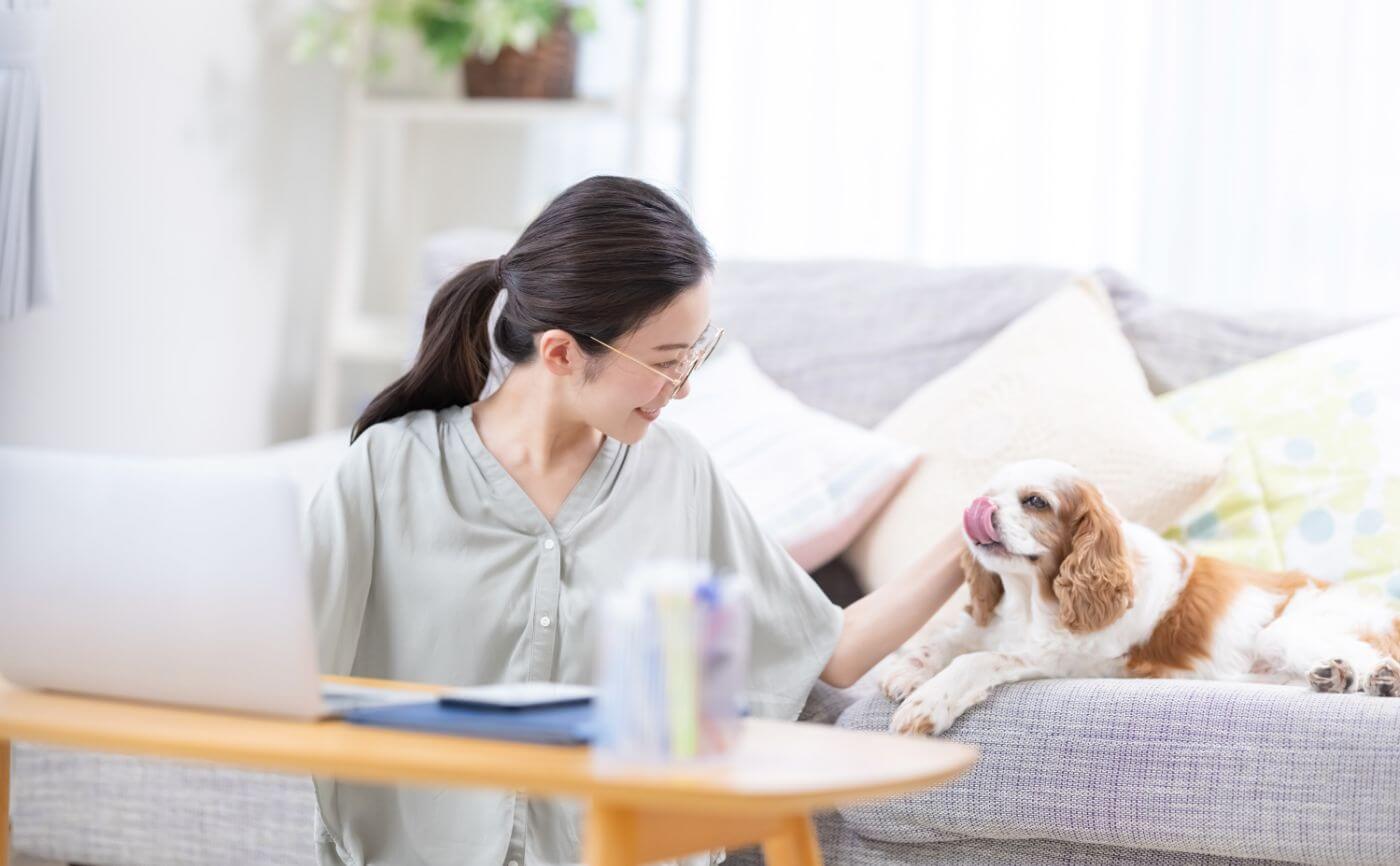 犬のニオイ対策