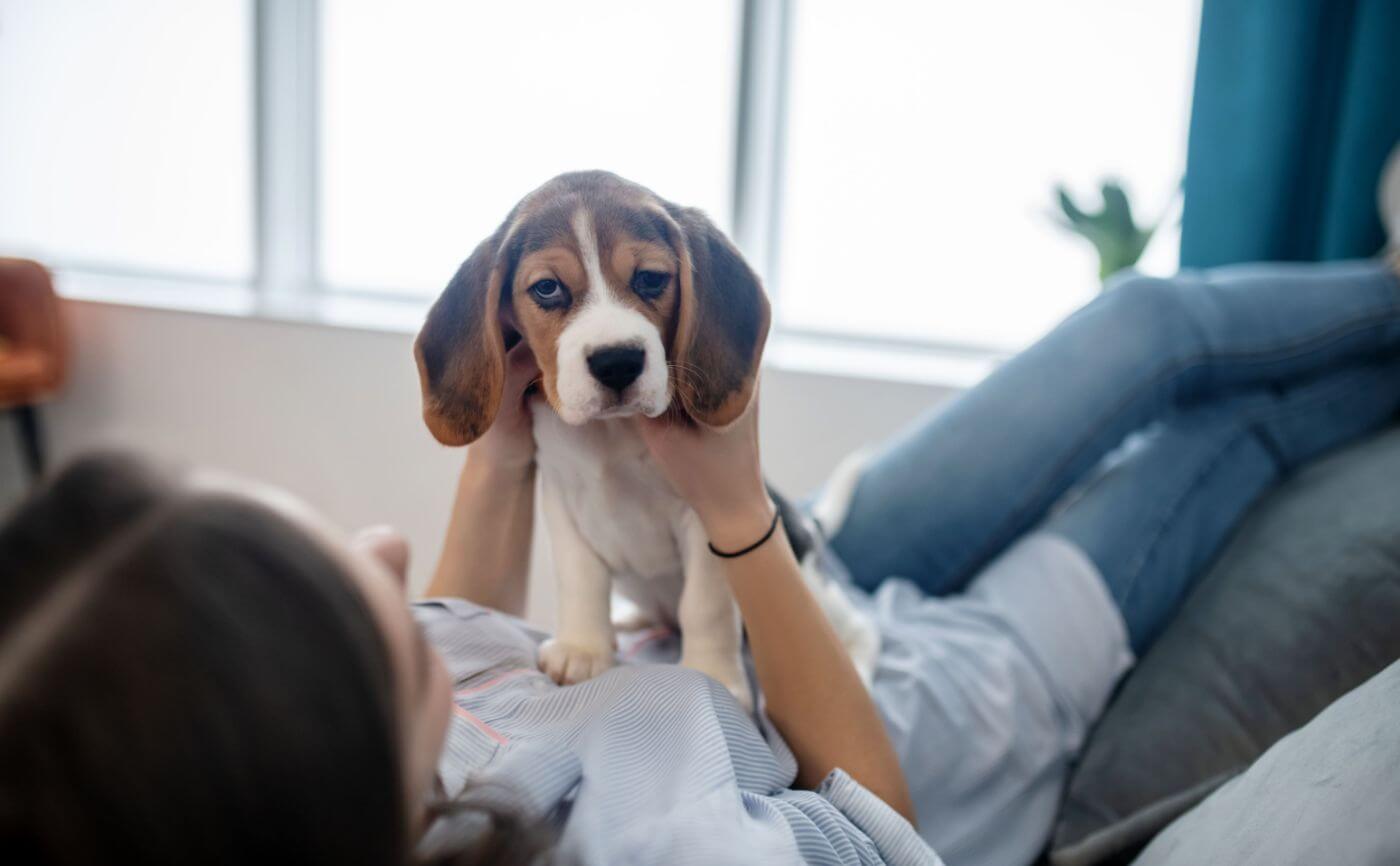 犬のニオイに脱臭機