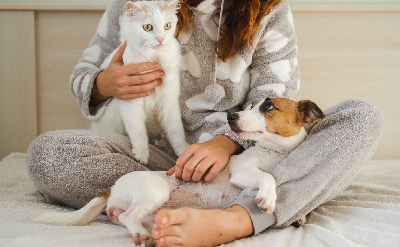 ペットを室内飼いする際には静音性の高い空気清浄機がおすすめ！