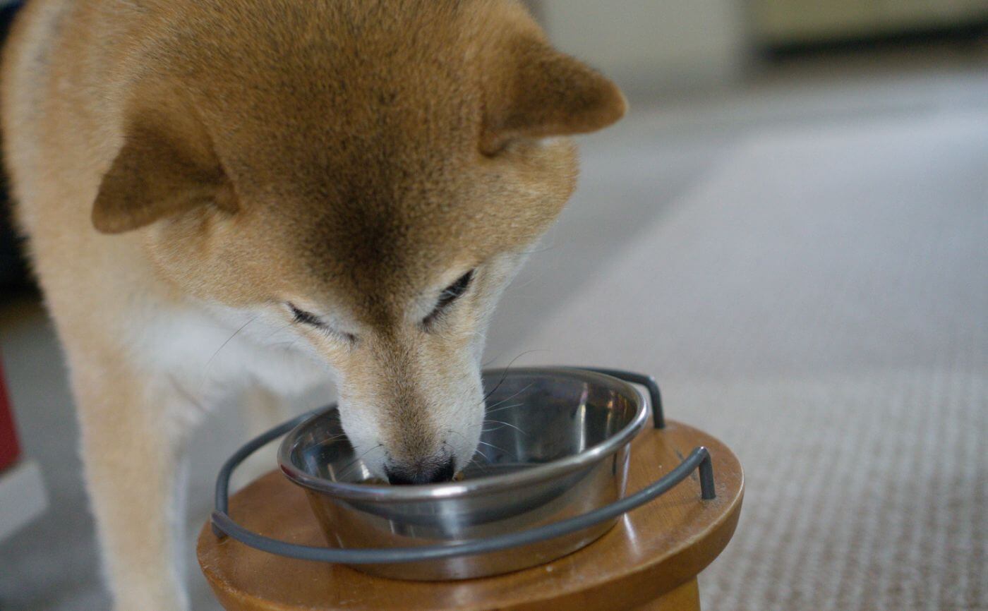 食に関するもの