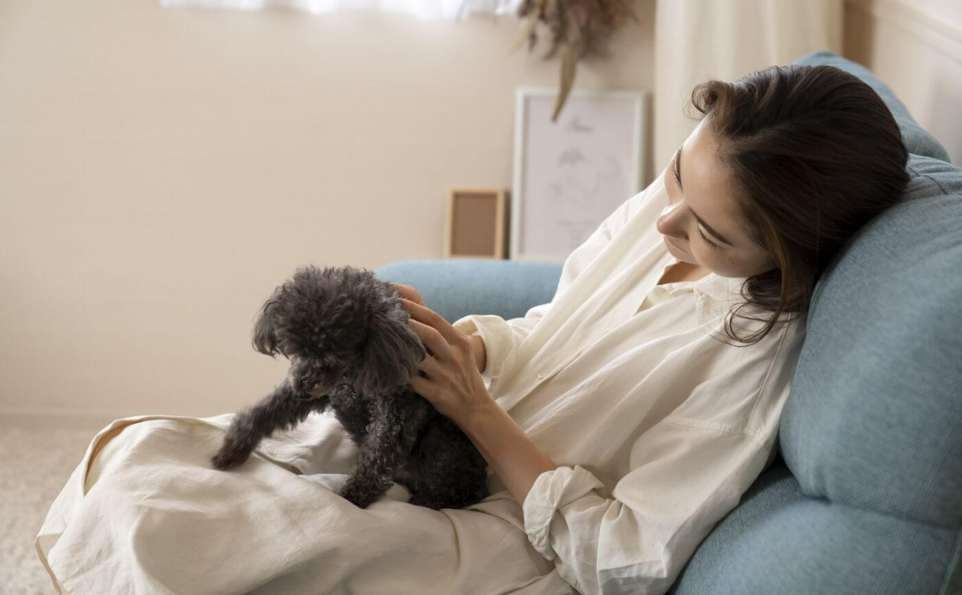 犬の体臭ケアについて