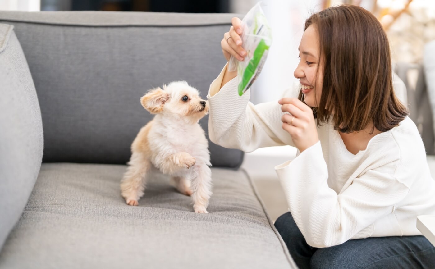 お部屋で飼うペットのにおいが気になったら「脱臭機」を！