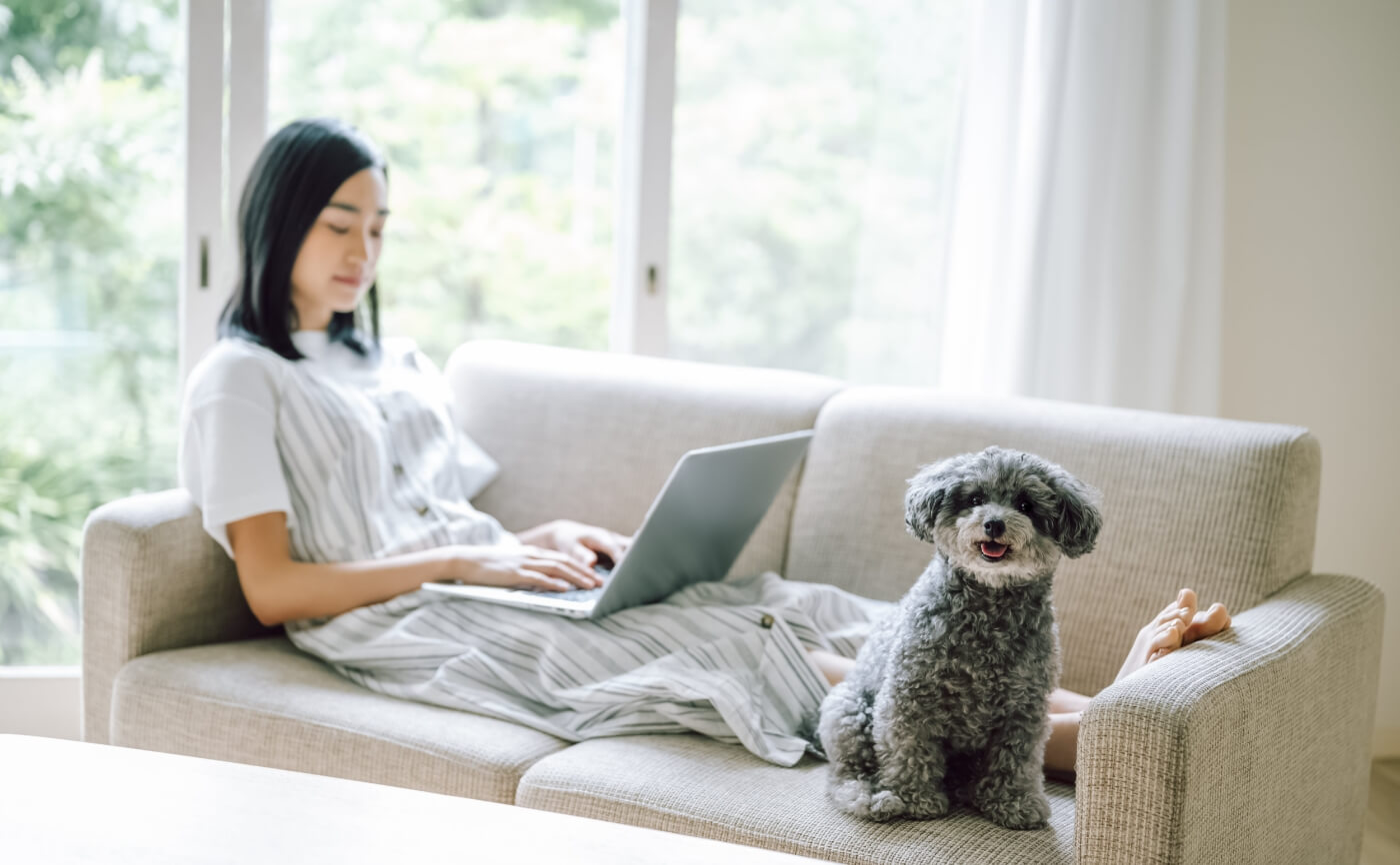 【ペットと脱臭機】犬を部屋の中で飼う時の注意点について