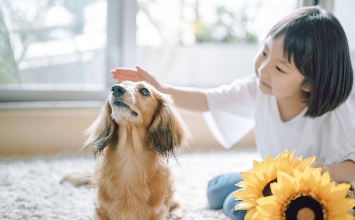 【ペットと脱臭機】犬の体臭の原因と臭い対策について
