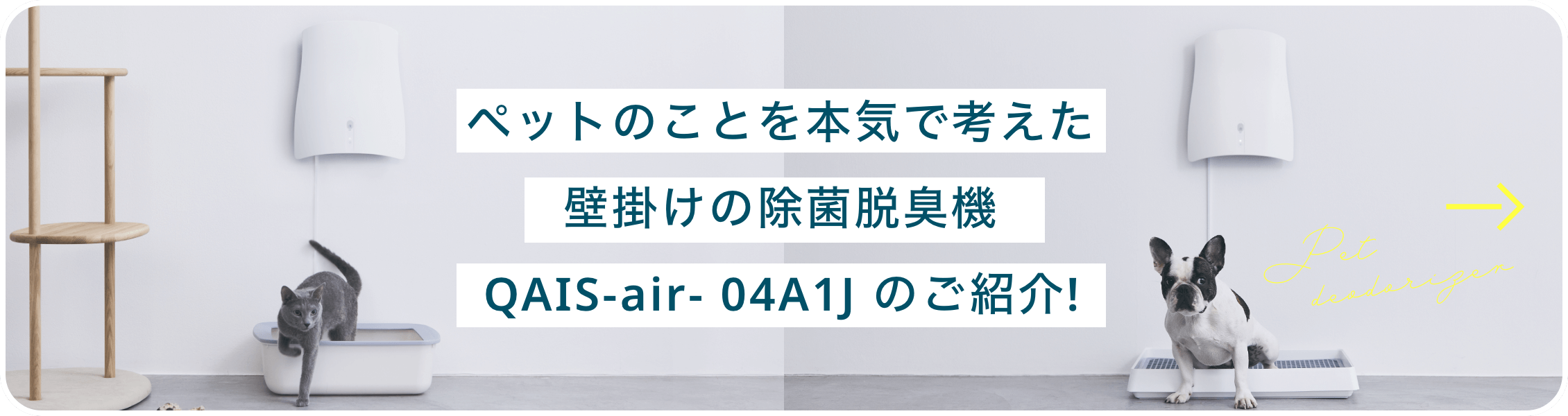 QAIS-air- 04AiJのご紹介