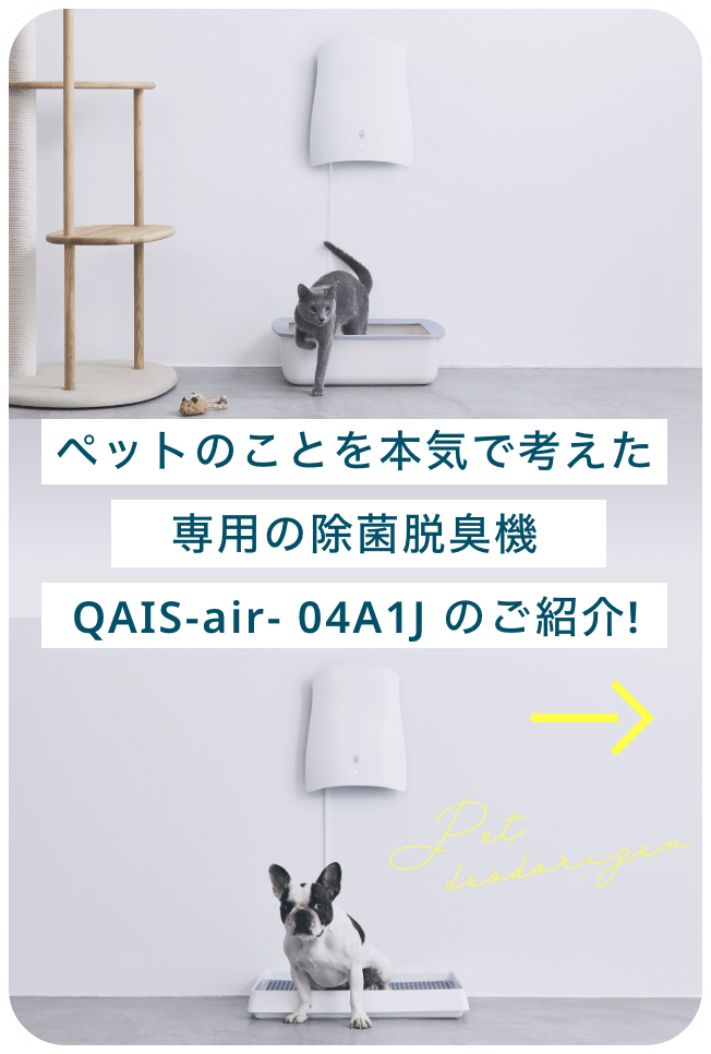 QAIS-air- 04AiJのご紹介