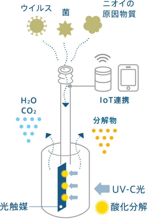 ギフト】 Gyp  店サンスター QAIS air 除菌脱臭機 UV 光触媒方式 フィルター交換不要 静音設計 壁掛けコンパクト設計ペット臭  除菌 脱臭 クワ