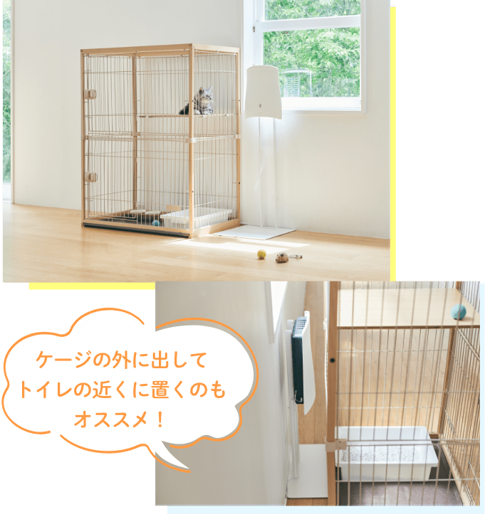 ケージの外に出してトイレの近くに置くのもオススメ！