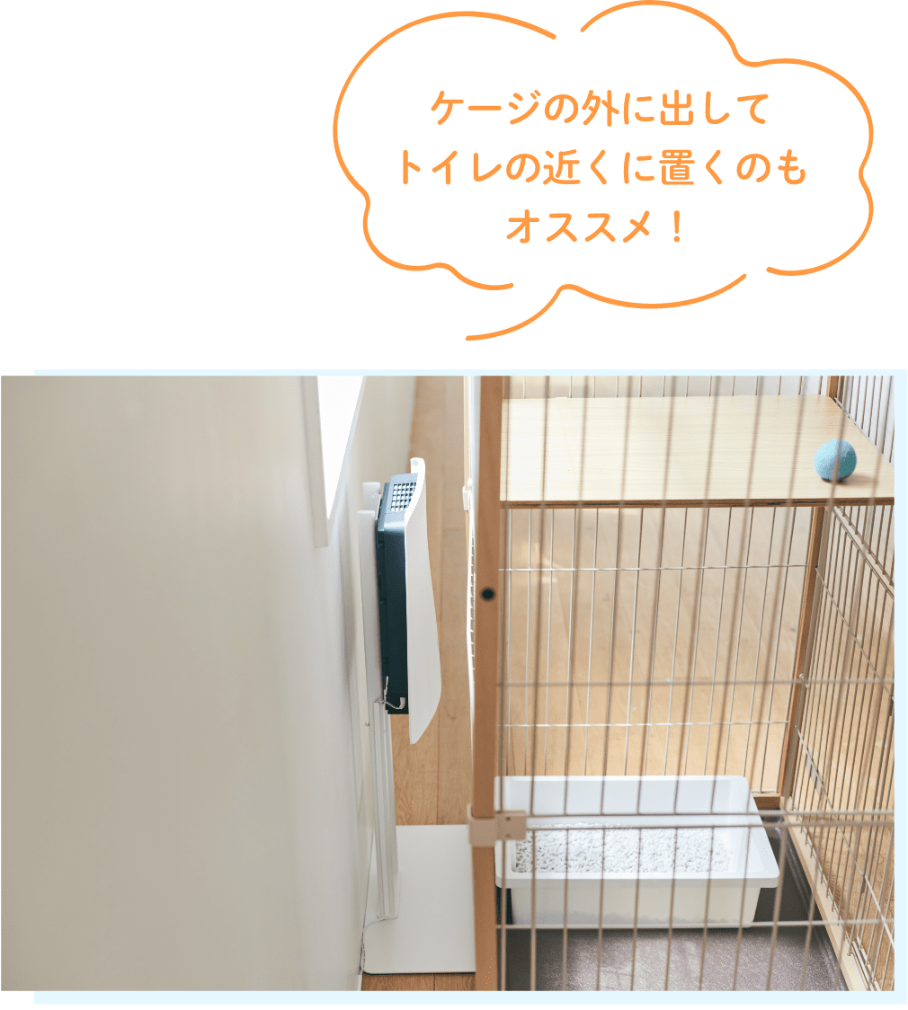 ケージの外に出してトイレの近くに置くのもオススメ！