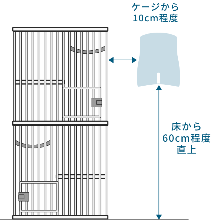 ケージから10cm程度直上