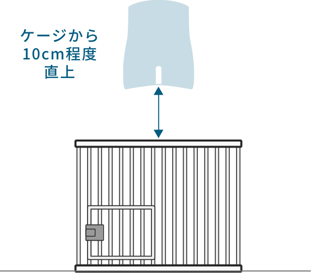 ケージから10cm程度直上