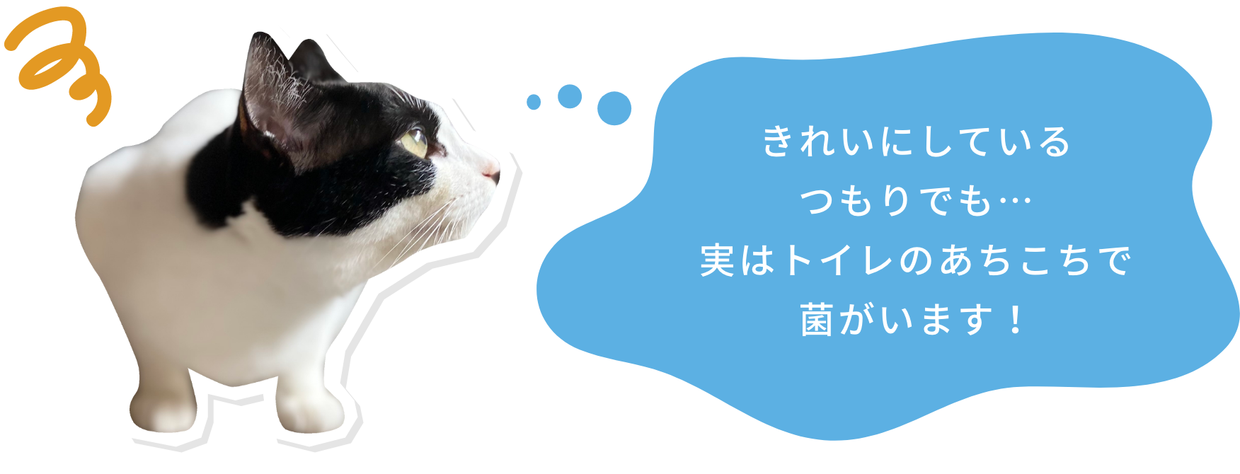 きれいにしているつもりでも・・・実はトイレのあちこちで菌が繁殖中！