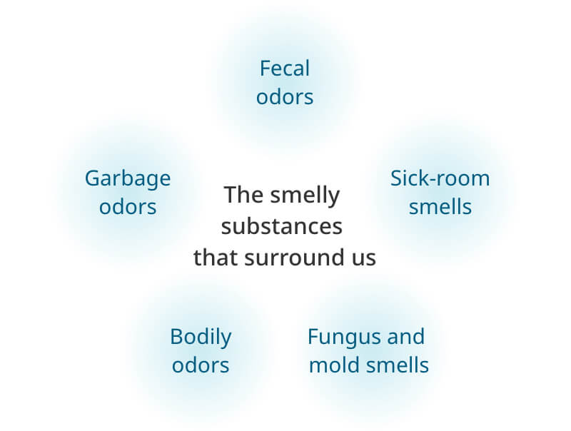 The smelly substances that surround us