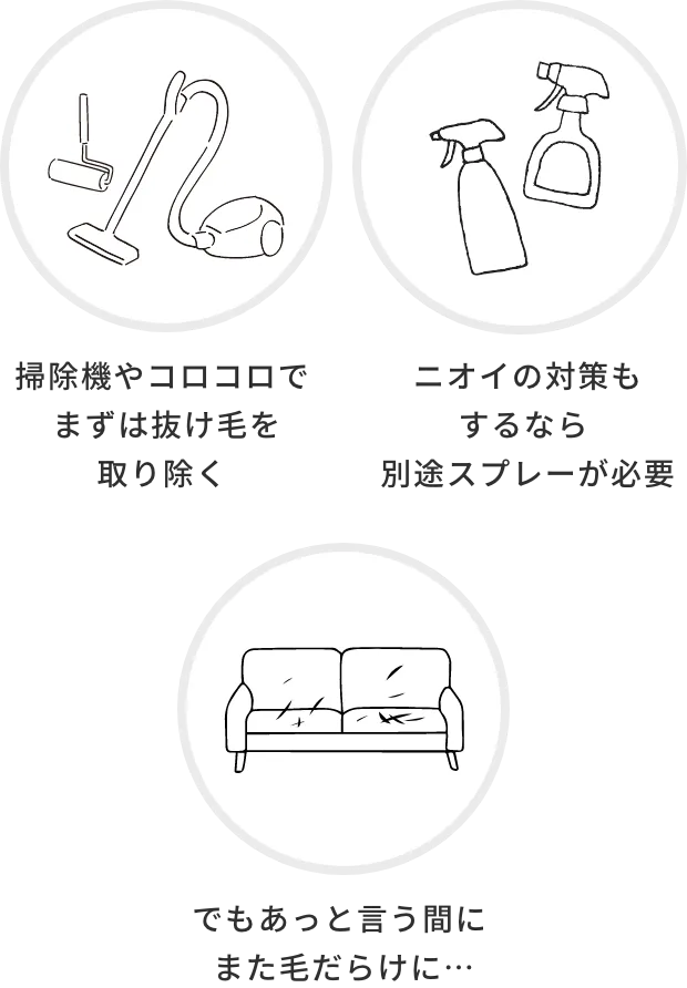 これまでのお掃除は