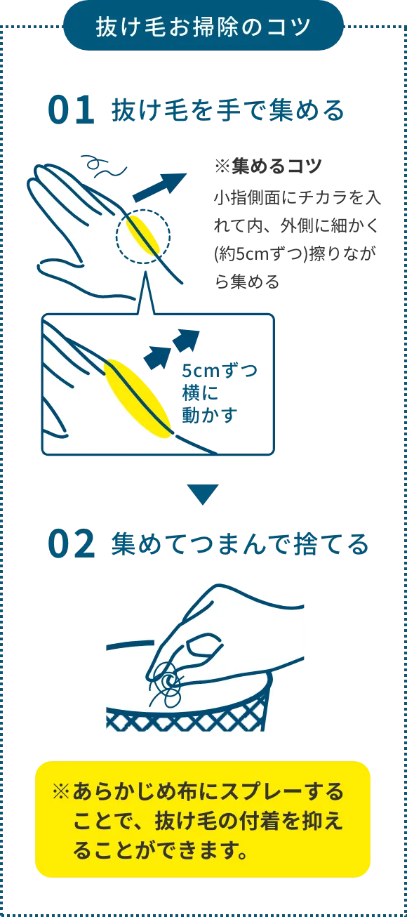抜け毛お掃除のコツ