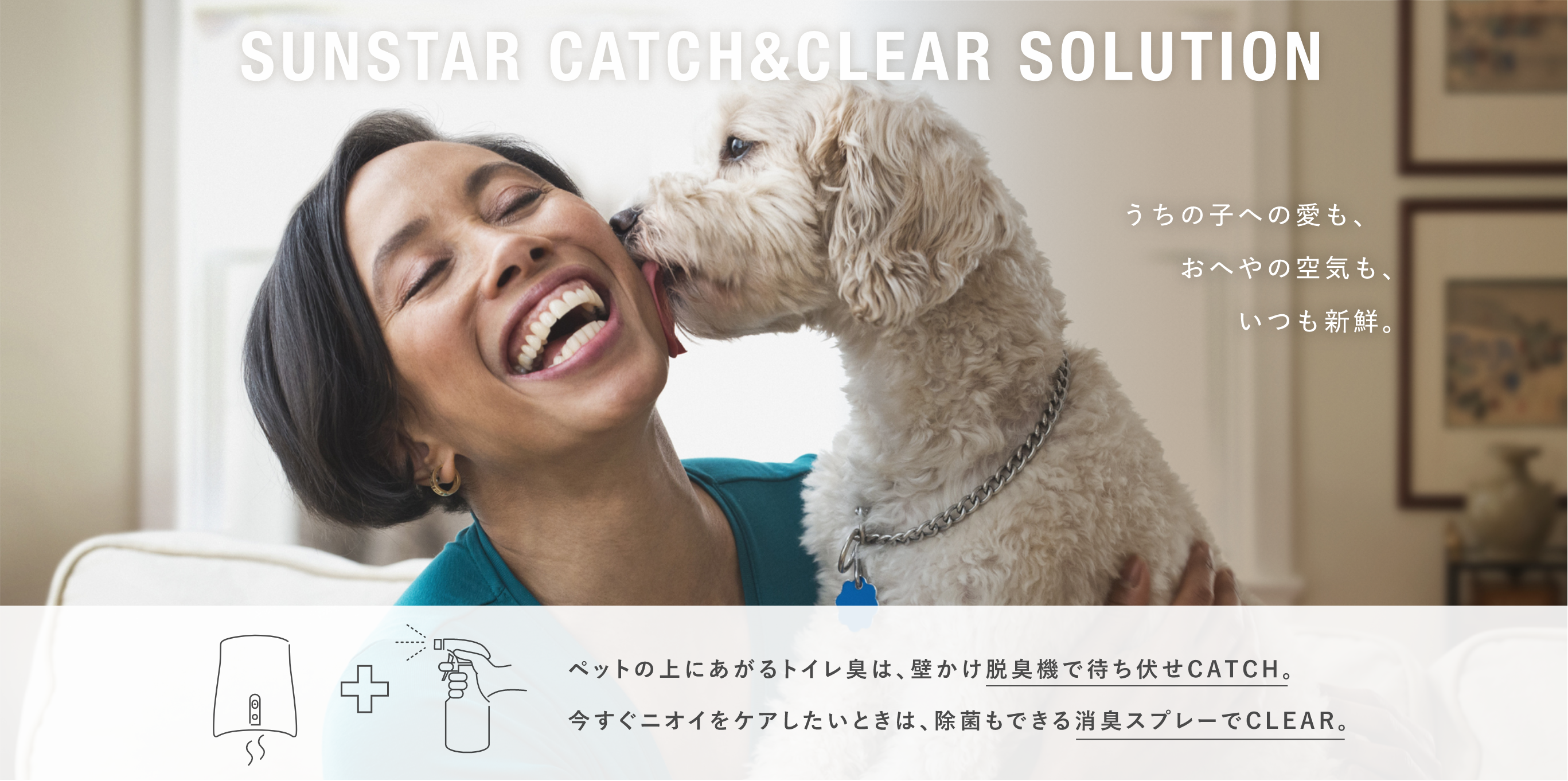 SUNSTAR CATCH & CLEAR SOLUTION