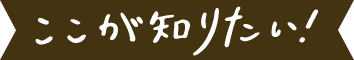 ここが知りたい！